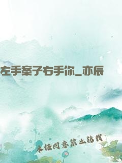 左手案子右手你