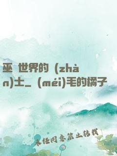 巫師世界的戰(zhàn)士