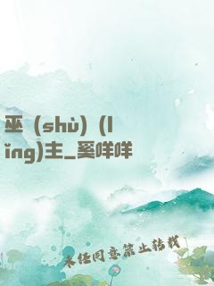 巫術(shù)領(lǐng)主
