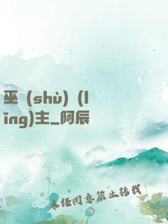 巫術(shù)領(lǐng)主