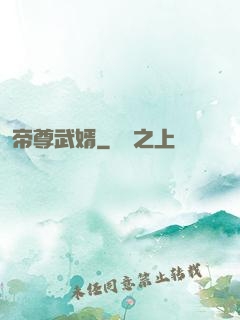帝尊武婿