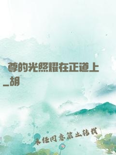 師尊的光照耀在正道上