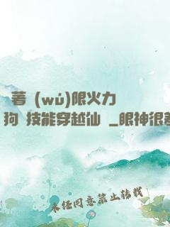 帶著無(wú)限火力狗頭技能穿越仙俠