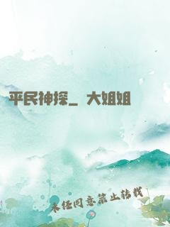 平民神探