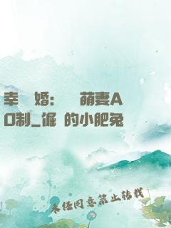 幸運閃婚：寶貝萌妻AO制