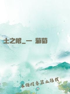 廢土之眼