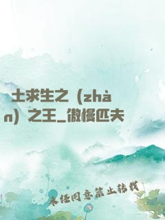 廢土求生之戰(zhàn)爭之王