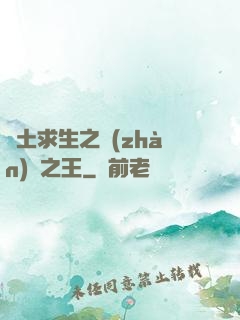 廢土求生之戰(zhàn)爭之王