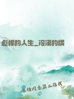 彪悍的人生