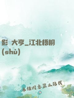 影壇大亨