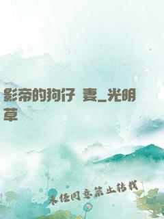 影帝的狗仔鮮妻