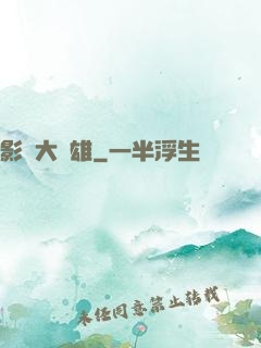 影綜大梟雄