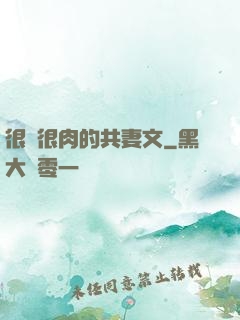 很黃很肉的共妻文
