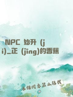 從NPC開始升級(jí)