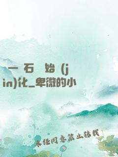 從一塊石頭開始進(jìn)化