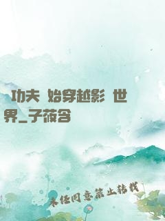從功夫開始穿越影視世界