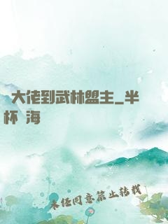 從大佬到武林盟主