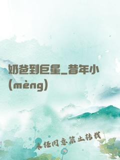 從奶爸到巨星