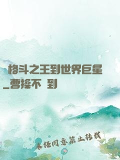 從格斗之王到世界巨星