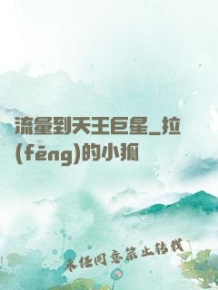 從流量到天王巨星