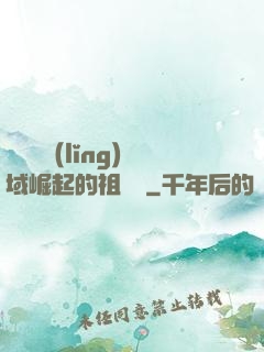 從無敵領(lǐng)域崛起的祖師爺