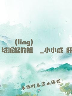 從無敵領(lǐng)域崛起的祖師爺