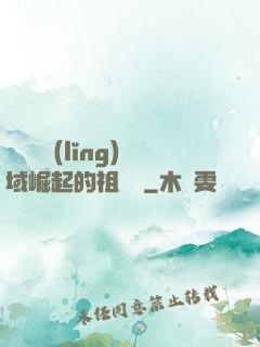 從無敵領(lǐng)域崛起的祖師爺