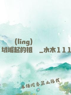 從無敵領(lǐng)域崛起的祖師爺