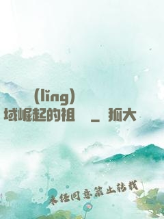 從無敵領(lǐng)域崛起的祖師爺