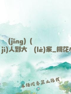 從經(jīng)紀(jì)人到大娛樂(lè)家