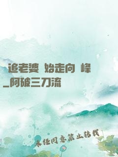 從追老婆開始走向巔峰
