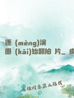 從逐夢(mèng)演藝圈開(kāi)始翻拍爛片