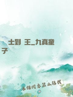 從騎士到國王