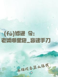 復(fù)婚通緝令：老婆哪里跑