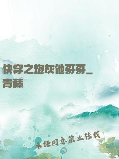 快穿之炮灰他哥哥