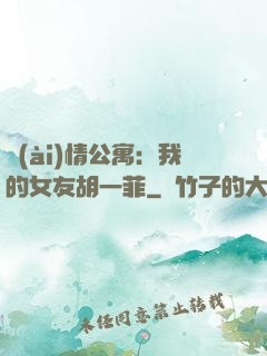 愛(ài)情公寓：我的女友胡一菲