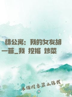 愛情公寓：我的女友胡一菲