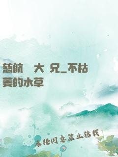 慈航靜齋大師兄