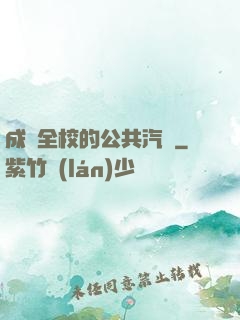 成為全校的公共汽車