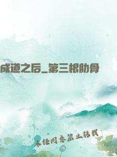 成道之后