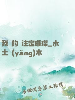 我們的愛注定璀璨