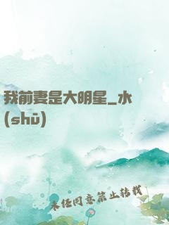 我前妻是大明星