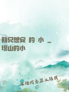 我只想安靜的寫小說