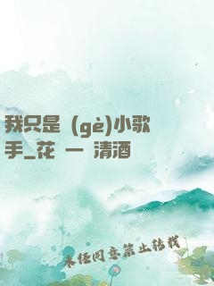 我只是個(gè)小歌手