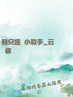 我只是個小歌手