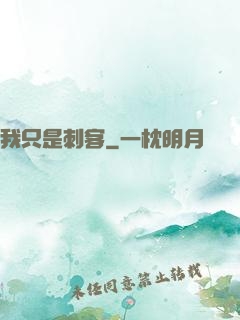 我只是刺客