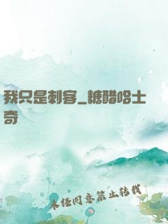 我只是刺客
