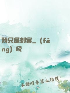 我只是刺客