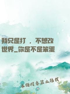 我只是打鐵，不想改變世界