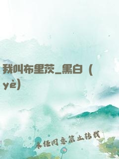 我叫布里茨